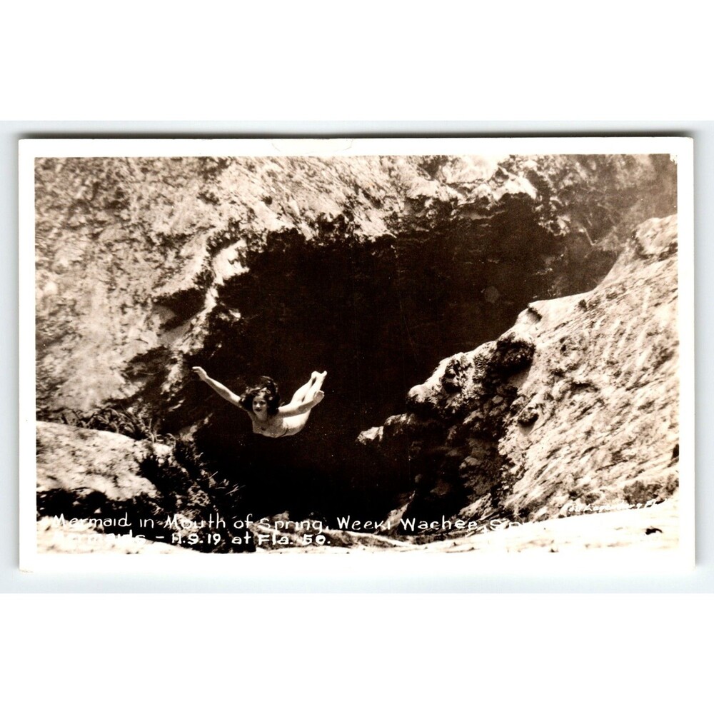 Weeki Wachee Mermaids Real Photo Postcard Women Swims Water Babe RPPC Florida